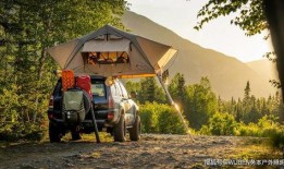 浙江野炊露营爆料案件最新,揭秘山林神秘事件真相揭晓