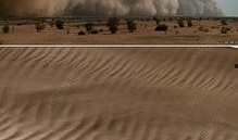 最新沙漠爆料视频播放大全,最新爆料视频全览