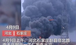 济宁媒体爆料事件视频最新,视频揭露惊人真相