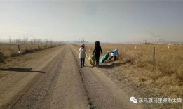 乌里雅斯太镇最新爆料,揭秘神秘事件背后的真相
