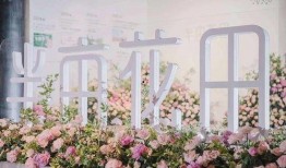 爆料半亩花田视频大全最新,视频大全中的护肤秘籍大公开