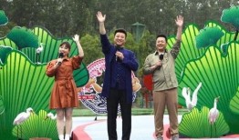 大理酒店爆料视频最新版,揭秘奢华背后的惊人真相