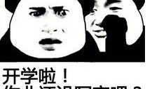 逆子最新爆料外观,神秘外观惊艳亮相，揭秘逆子最新力作