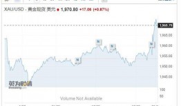 美国期货最新爆料