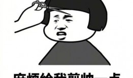 逆子最新爆料外观,神秘外观惊艳亮相，揭秘逆子最新力作