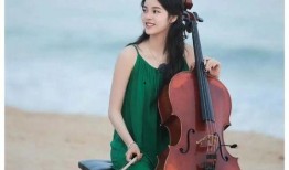 娱乐圈八卦爆料最新白鹿,娱乐圈再掀波澜