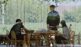 向往4最新爆料,明星们的生活日常大揭秘！