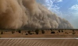 最新沙漠爆料视频播放大全,最新爆料视频全览