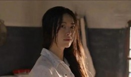 娱乐圈八卦爆料最新白鹿,娱乐圈再掀波澜