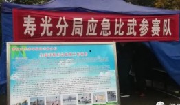 寿光最新爆料事件新闻视频,事件真相揭秘，视频曝光惊人内幕